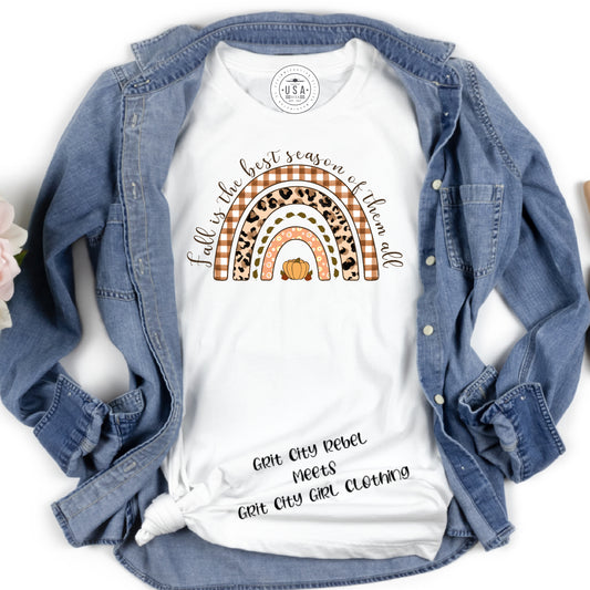 White unisex fit short sleeve T-Shirt with a rainbow in Fall colors and the saying Fall is the best season of them all. Grit City Rebel sizing unisex sizes small medium large Xlarge 2X 3X